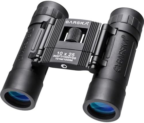 Compact folding lucid view binoculars 10x25