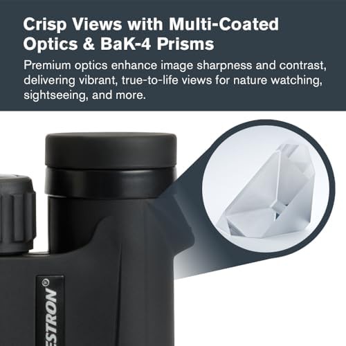 Small 8x25 pocket travel binoculars — photo 4