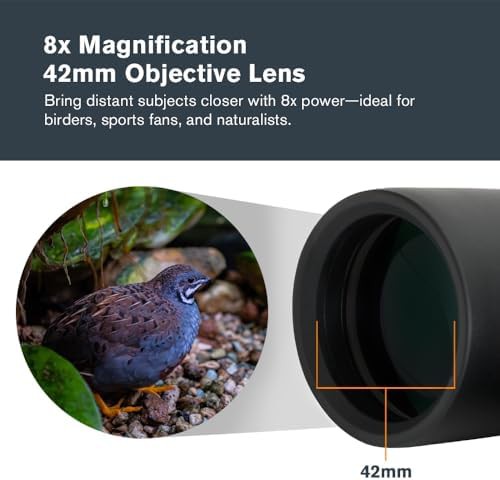 Mid size 8x42 birding and nature binoculars — photo 3