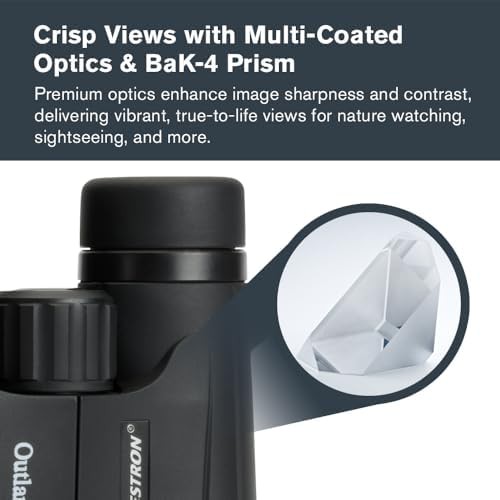 Powerful 10x42 wildlife and hunting binoculars — photo 4