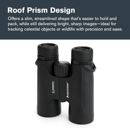 Powerful 10x42 wildlife and hunting binoculars — photo 5