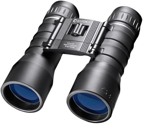 Black lucid view roof prism binoculars 10x42