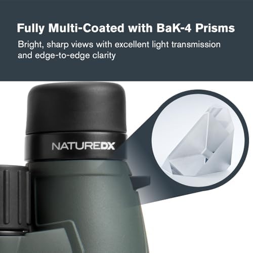 Large 12x56 binoculars for low light — photo 3