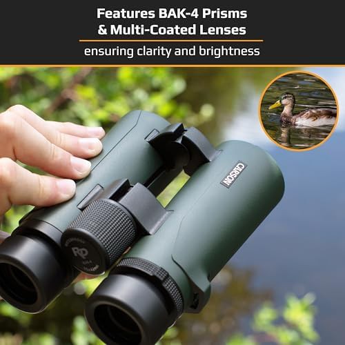 Open bridge compact binoculars for birding — photo 4