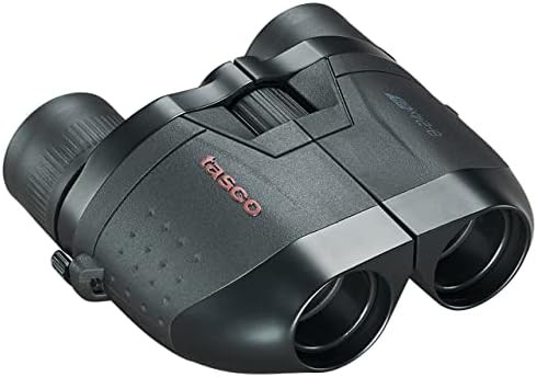 Small variable zoom binoculars 8-24x25