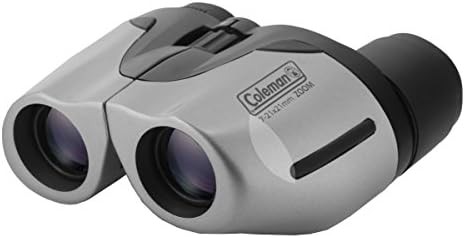 Silver compact zoom binoculars 10-30x21