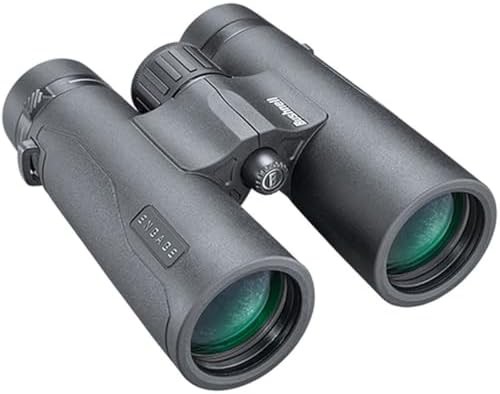 Black hunting binoculars with 10x magnification