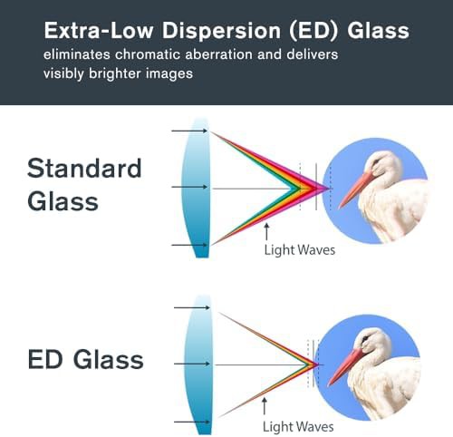 High resolution 10x42 ED glass binoculars — photo 3