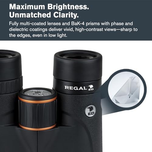 High resolution 10x42 ED glass binoculars — photo 5