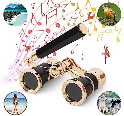 Adjustable handle theater glasses with BK9 optics