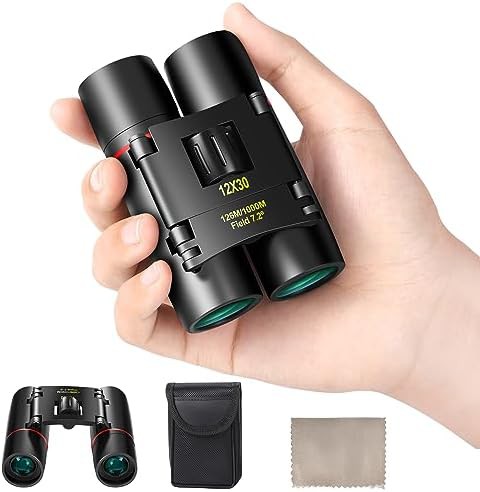Compact binoculars with large eyepiece