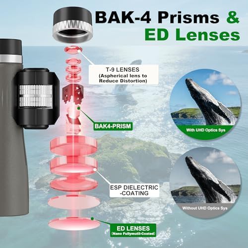 MLight adults bird watching 12x binoculars — photo 3