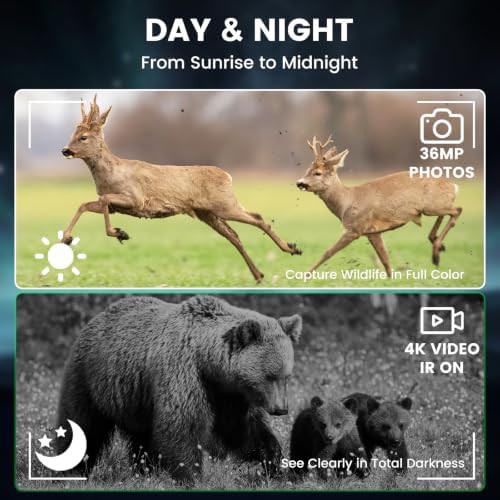 Compact 4K night vision binoculars for adults — photo 3